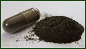 wellstar-green-gold-imune-alga-180-barna