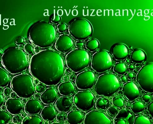 alga-a-jovo-taplaleka-imune.bio