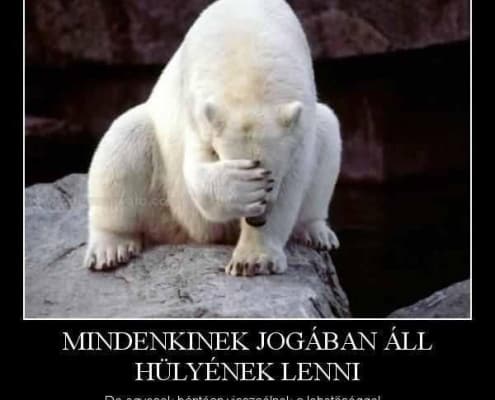 imune-alga-hiany-hulyeseg