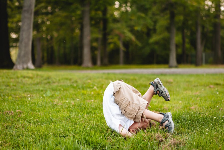 zold-alga-zöld-jatek