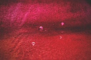 astaxanthin-antioxidans