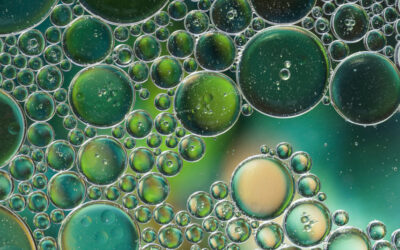 Mi az a mikroalga?