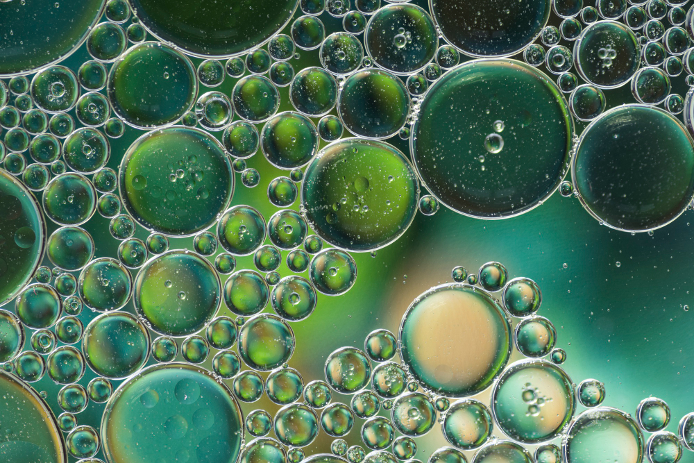 mikroalga-mikroszkop-alatt
