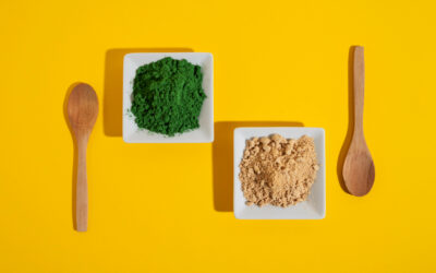 Mikroalgák a táplálkozásban – minden nap: kinek és miért lehetnek hasznosak?