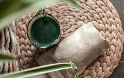 Az algák tudományos kutatása