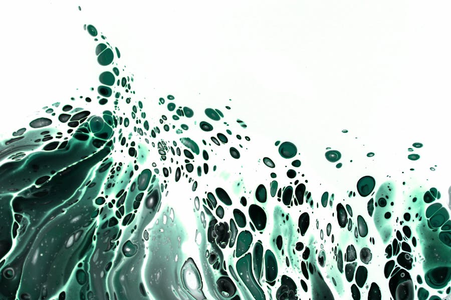 algak-tudomanyos-kutatasa