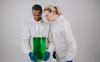 Chlorella összetétele – mit tartalmaz a zöld mikroalga?