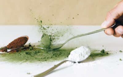 Spirulina összetétele